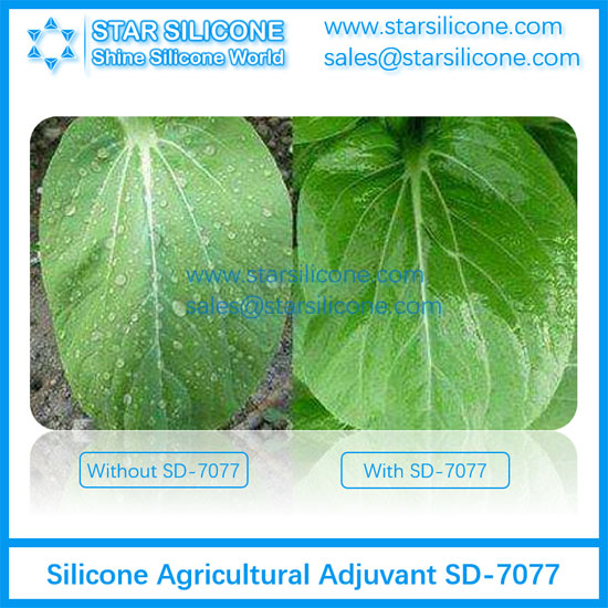 Silicone Agricultural Adjuvant SD-7077